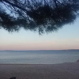 Antica Šimuni